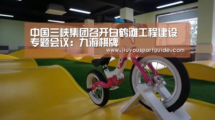 中国三峡集团召开白鹤滩工程建设专题会议：九游棋牌(图4)